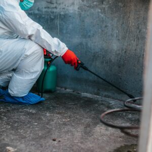 Scopri di più sull'articolo Disinfezione